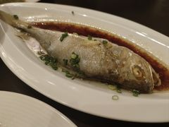 -京香轩·中餐厅(上海中庚聚龙酒店)