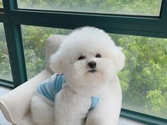 -爱侣宠医·鹦鹉专科·小型哺乳类·异宠专科(灵石路店)