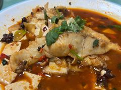 -煲来饱去冷水鱼