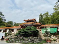 -深圳仙湖植物园