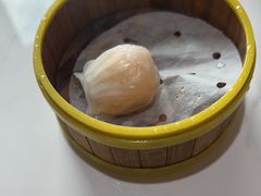 东方虾饺皇-东方早茶 海鲜•青岛菜(国信体育中心店)