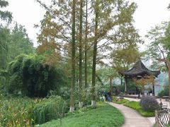 -重庆彩云湖湿地公园