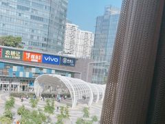 -润园四季椰子鸡火锅(南山海岸城店)