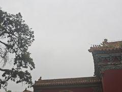 -北陵公园