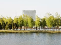 -大兴滨河森林公园