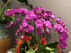 -外滩1288花园丽舍