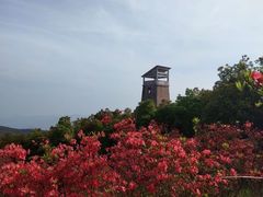 -瑞安圣井山景区