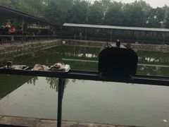 -北京上庄水库尚野露天户外自助烧烤