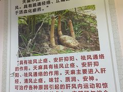 -朴小妹人参鸡汤火锅(长白山万达店)