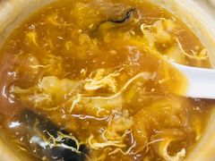 招牌花胶海参煲仔-添發碗仔翅美食