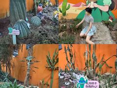 -正佳雨林生态植物园