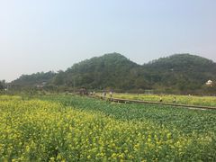 -红山村
