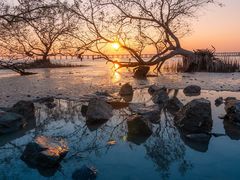 -宝安西湾红树林湿地公园