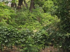 -丽泽山庄·生态怀柔菜·虹鳟鱼(红螺寺店)