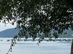-抚仙湖禄充风景区
