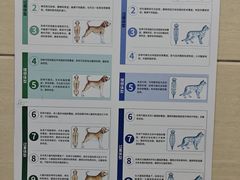 -北京观赏动物医院·24小时大型综合·猫专科·异宠专科