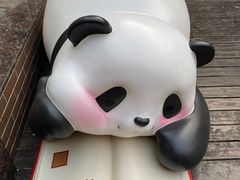 -轩客会(熊猫书店)