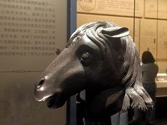-广西壮族自治区博物馆