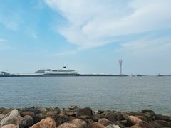 -吴淞炮台湾湿地森林公园烧烤区