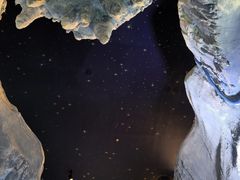 -珠海长隆海洋王国