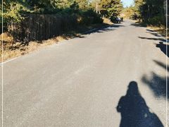 -红山国家森林公园