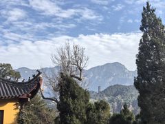 -九华山风景区月身宝殿