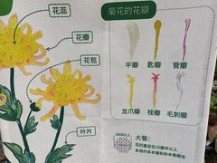 -贵州省植物园