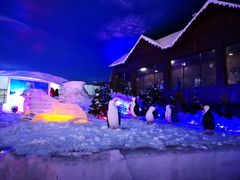 -世界之窗阿尔卑斯冰雪世界