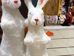 -海马体家庭照相馆(北京芳圆里 ID MALL店)