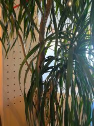 -儿时蒙太奇摄影(亦庄店)