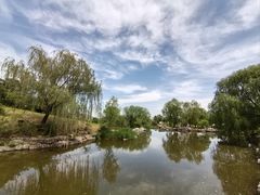 -北京西山国家森林公园