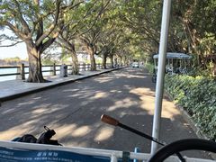 -大湾区中央湿地公园