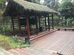 -铁山坪森林公园