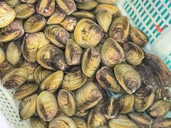-崖口红树林海鲜餐厅