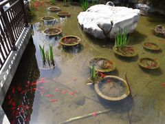 -聚缘堂·海鲜私房菜(松岭路店)