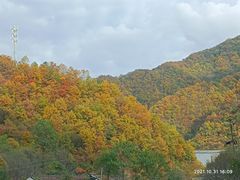 -秦岭风景区