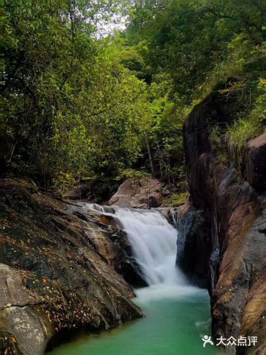 广州白江湖森林公园图片