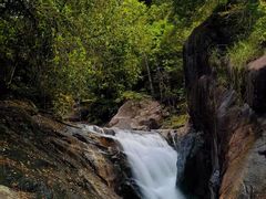 -广州白江湖森林公园