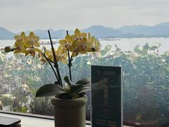 -湖畔居茶楼(湖滨店)