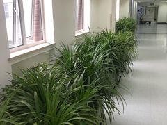 -北京协和医院(东单院区)
