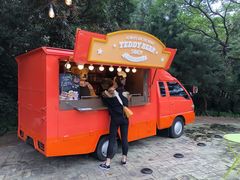 -济州岛泰迪熊博物馆