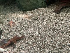 -沈阳海洋探索中心