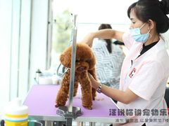 -汪说喵讲宠物乐园宠物酒店(红星美凯龙店)