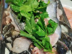 -蜀滋香鲜鱼美蛙火锅(339店)