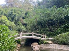 -广州市白云山风景名胜区