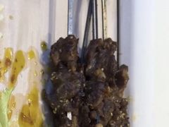 -勇利赵家烤肉坊(纬二街店)