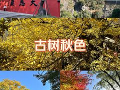 -大慈岩风景区