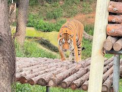 -西霞口神雕山野生动物世界