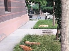 -太原动物园
