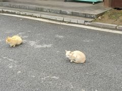 -三国赤壁古战场